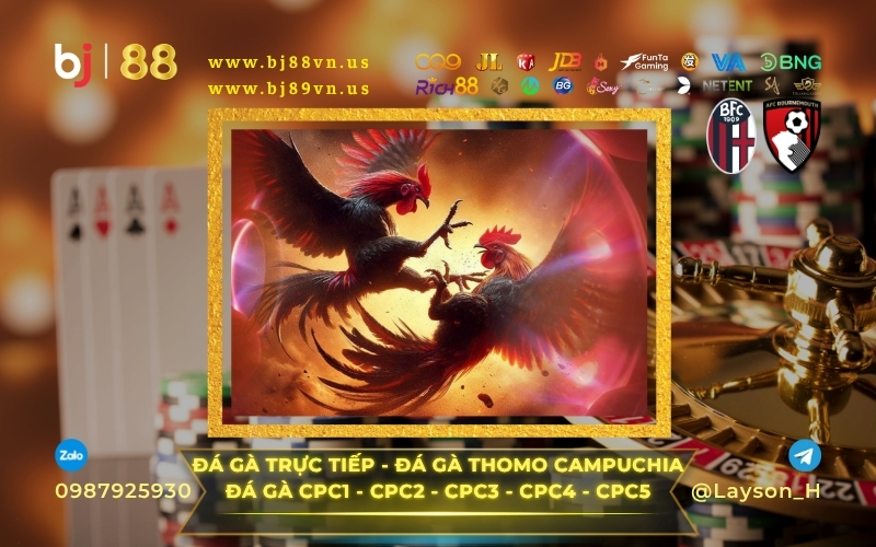 Đá Gà Thomo BJ89