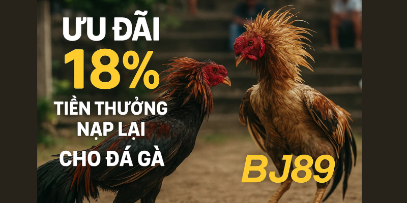 Ưu Đãi 18% Tiền Thưởng Nạp Lại Cho Đá Gà BJ89 Là Gì? Ưu Đãi 18% Tiền Thưởng Nạp Lại Cho Đá Gà BJ89 Là Gì?