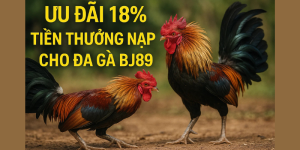 Hướng Dẫn Nhận 18% Tiền Thưởng Nạp Lại Tại BJ89