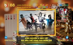 Thể Thao BJ89 Điểm Mới Cho Người Yêu Thể Thao